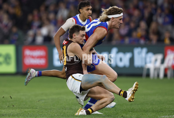 AFL Rd 7 - Western Bulldogs v Hawthorn - A-1357052