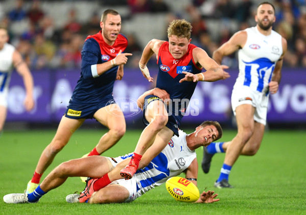 AFL Rd 7 - Melbourne v North Melbourne - A-1360870