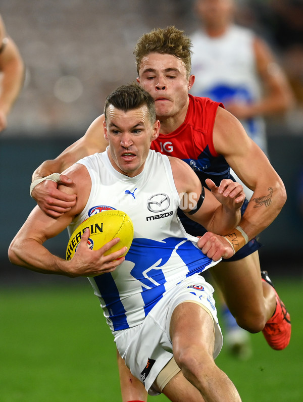 AFL Rd 7 - Melbourne v North Melbourne - A-1362550