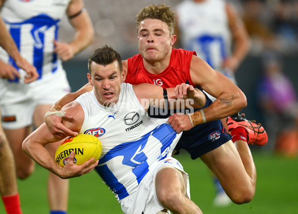 AFL Rd 7 - Melbourne v North Melbourne - A-1363828