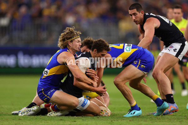 AFL Rd 7 - West Coast v Carlton - A-1365529