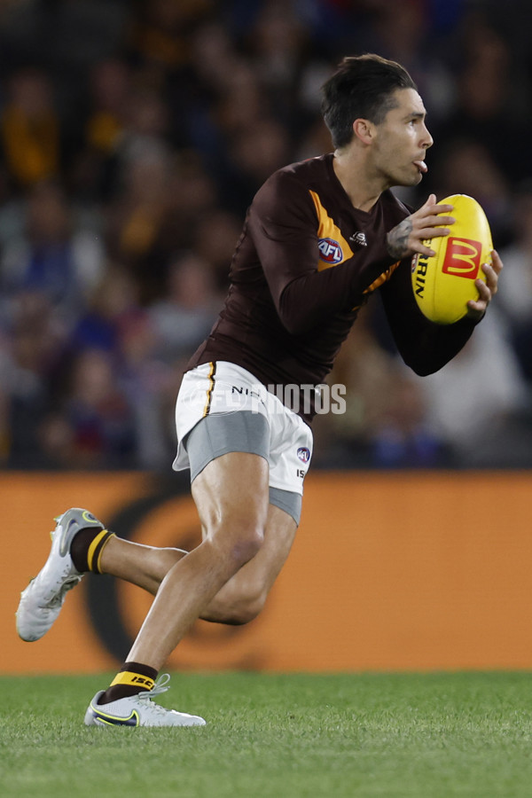 AFL Rd 7 - Western Bulldogs v Hawthorn - A-1365561