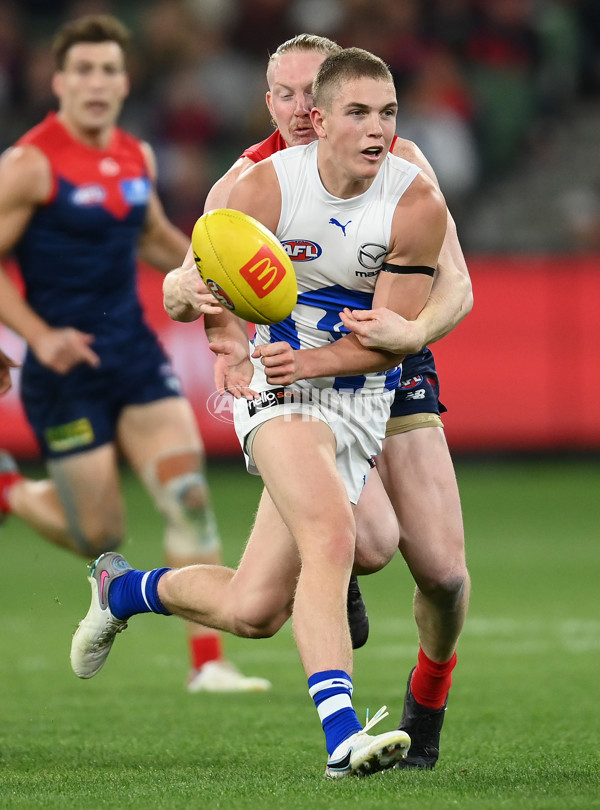 AFL Rd 7 - Melbourne v North Melbourne - A-1366805