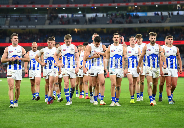 AFL Rd 7 - Melbourne v North Melbourne - A-1368740