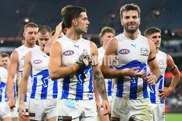 AFL Rd 7 - Melbourne v North Melbourne - A-1370004