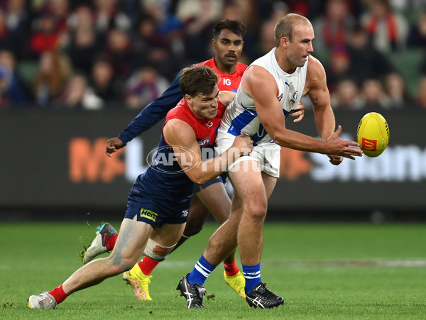 AFL Rd 7 - Melbourne v North Melbourne - A-1370035