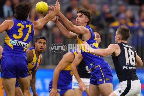 AFL Rd 7 - West Coast v Carlton - A-1371567