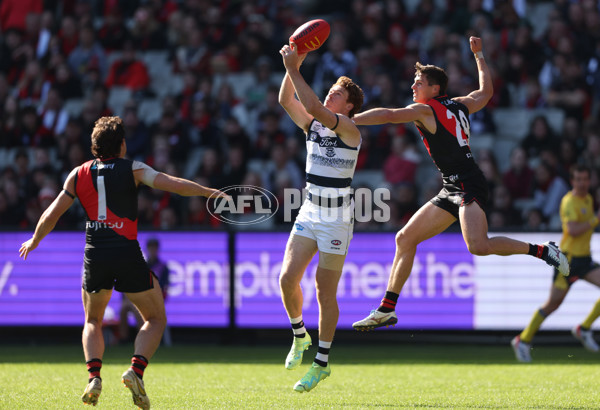 AFL Rd 7 - Essendon v Geelong - A-1378812