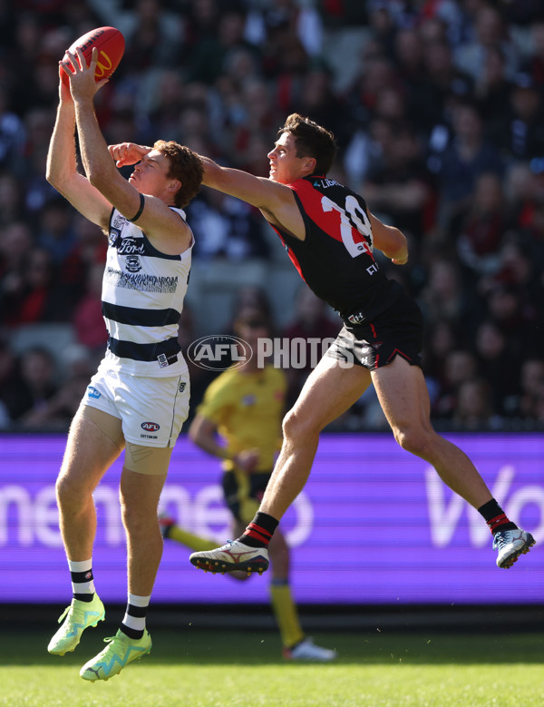 AFL Rd 7 - Essendon v Geelong - A-1378813