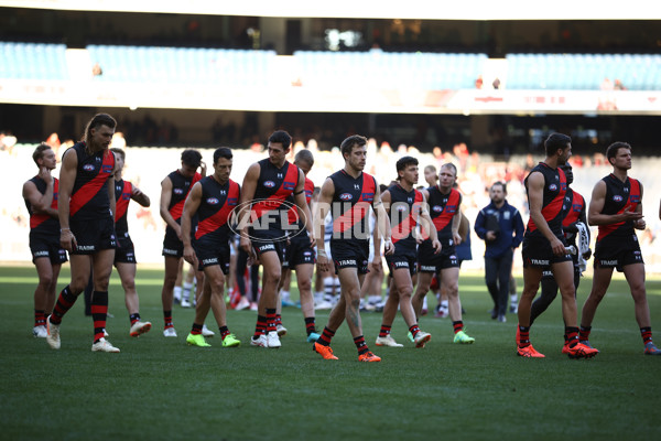 AFL Rd 7 - Essendon v Geelong - A-1380541