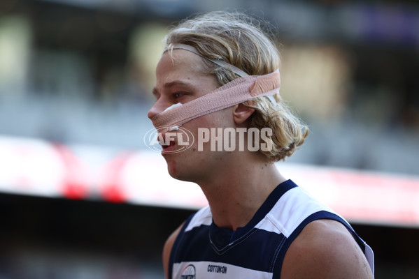 AFL Rd 7 - Essendon v Geelong - A-1382027