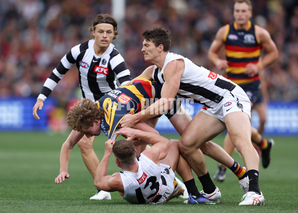 AFL Rd 7 - Adelaide v Collingwood - A-1382050