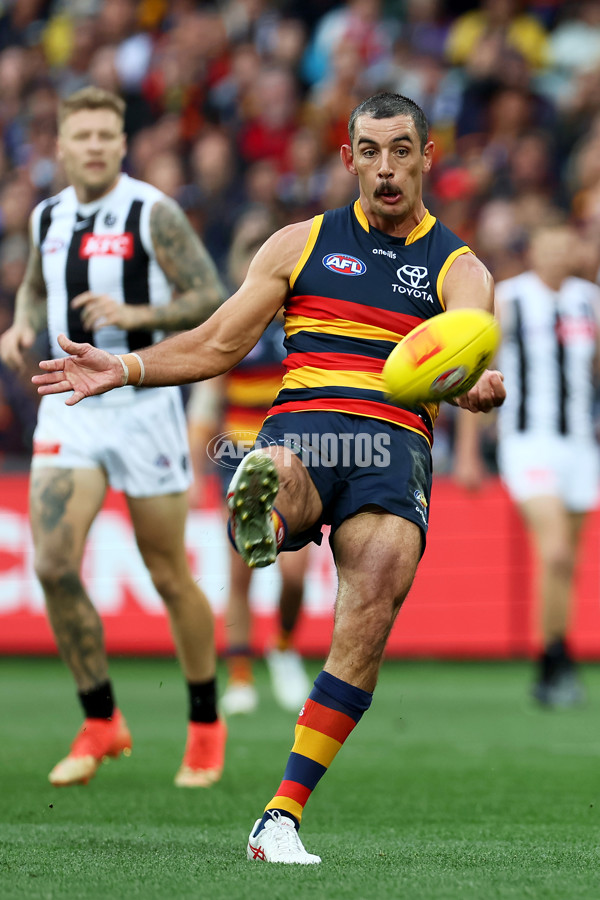 AFL Rd 7 - Adelaide v Collingwood - A-1385223