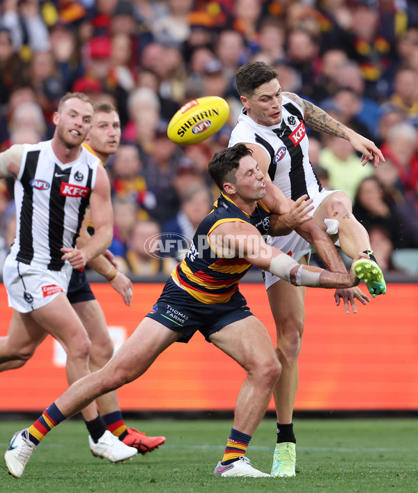 AFL Rd 7 - Adelaide v Collingwood - A-1385228