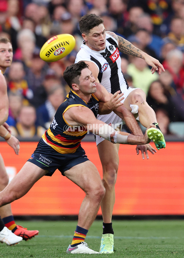 AFL Rd 7 - Adelaide v Collingwood - A-1385238