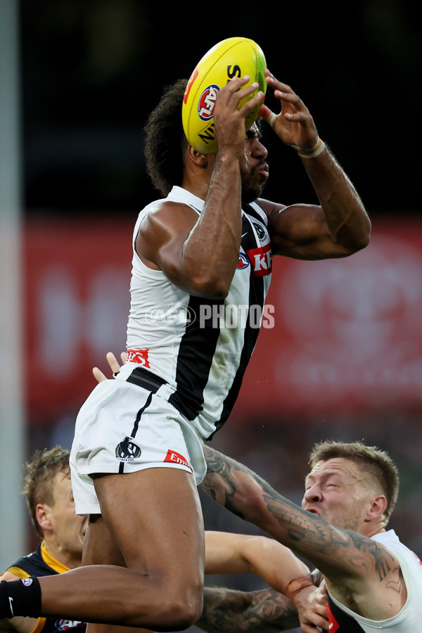 AFL Rd 7 - Adelaide v Collingwood - A-1387136