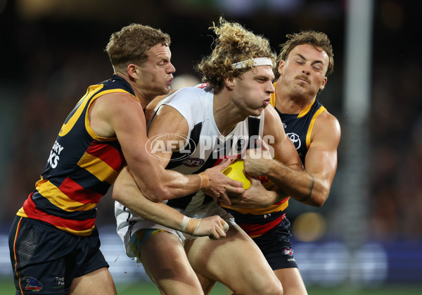 AFL Rd 7 - Adelaide v Collingwood - A-1387180