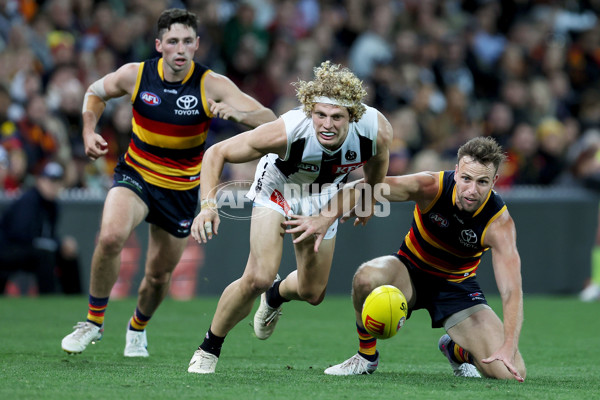 AFL Rd 7 - Adelaide v Collingwood - A-1388161