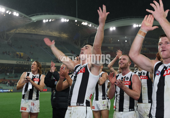 AFL Rd 7 - Adelaide v Collingwood - A-1388204