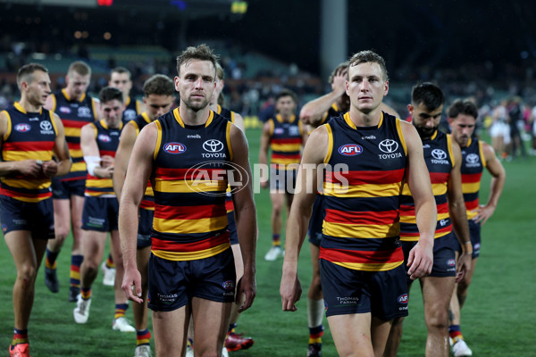 AFL Rd 7 - Adelaide v Collingwood - A-1388218