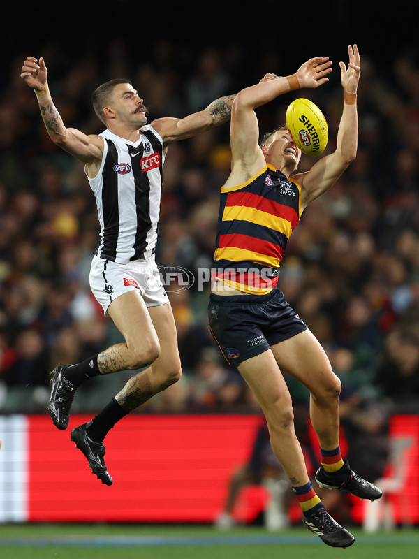 AFL Rd 7 - Adelaide v Collingwood - A-1390231