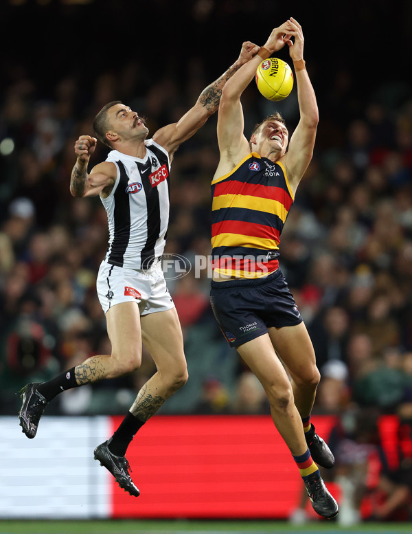 AFL Rd 7 - Adelaide v Collingwood - A-1390232