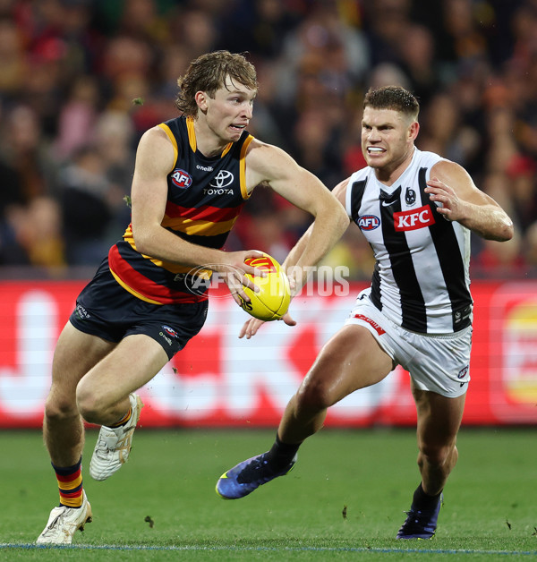 AFL Rd 7 - Adelaide v Collingwood - A-1390240