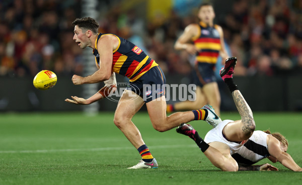 AFL Rd 7 - Adelaide v Collingwood - A-1390245