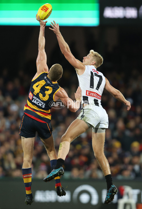 AFL Rd 7 - Adelaide v Collingwood - A-1390246