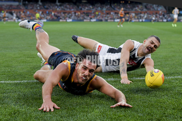 AFL Rd 7 - Adelaide v Collingwood - A-1390254