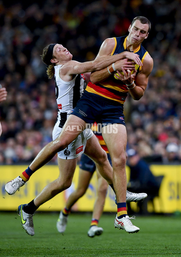 AFL Rd 7 - Adelaide v Collingwood - A-1390258