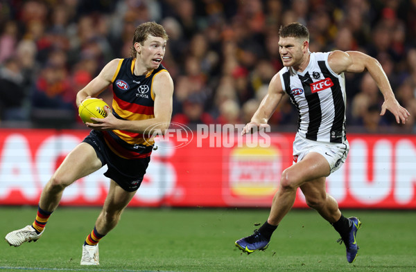 AFL Rd 7 - Adelaide v Collingwood - A-1391412