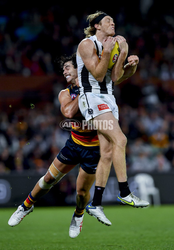 AFL Rd 7 - Adelaide v Collingwood - A-1391414