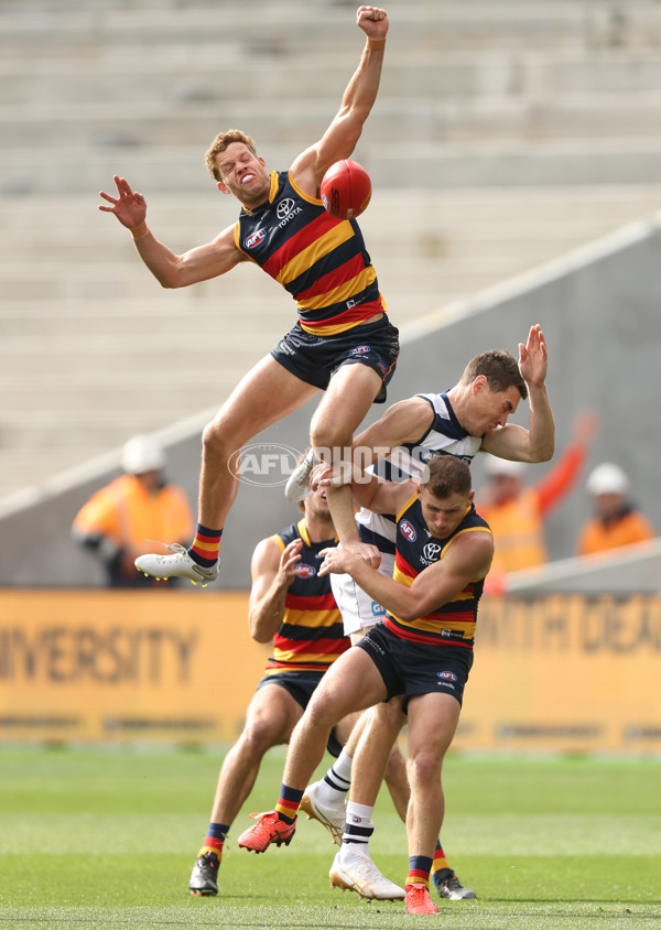 AFL Rd 8 - Geelong v Adelaide - A-1410203