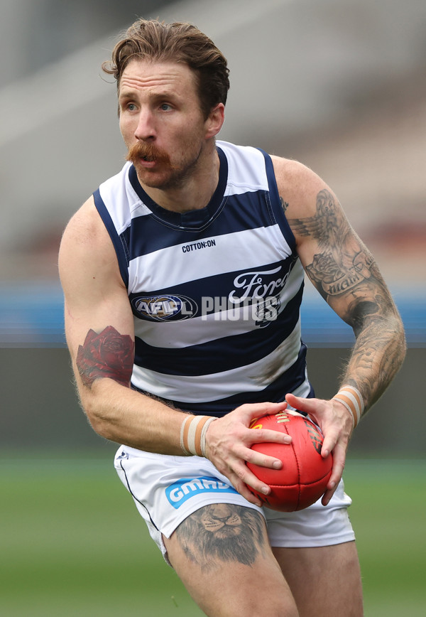 AFL Rd 8 - Geelong v Adelaide - A-1410248