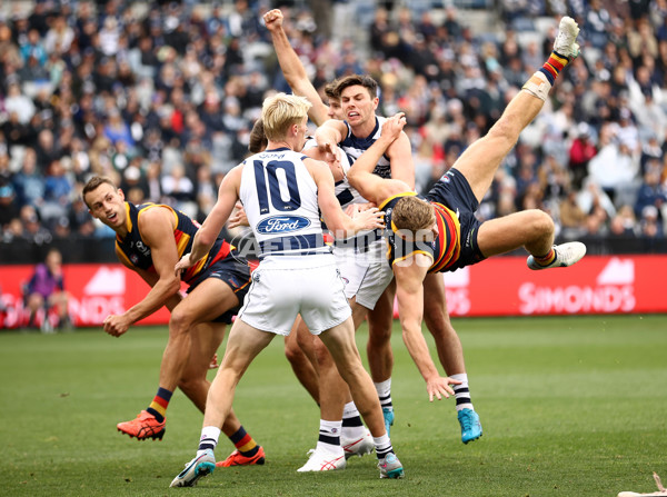 AFL Rd 8 - Geelong v Adelaide - A-1413539