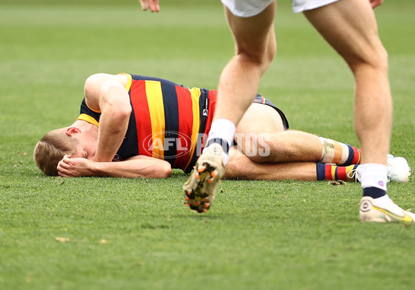 AFL Rd 8 - Geelong v Adelaide - A-1413540