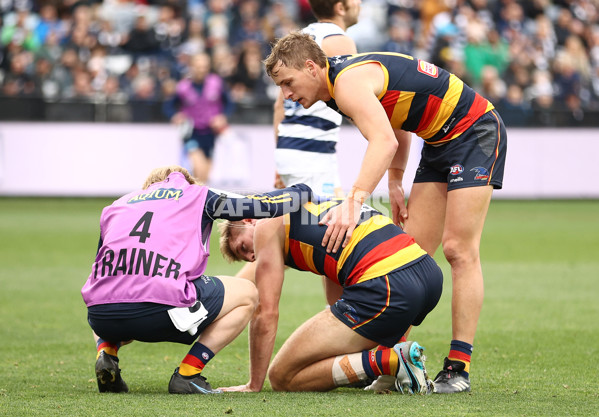 AFL Rd 8 - Geelong v Adelaide - A-1413542