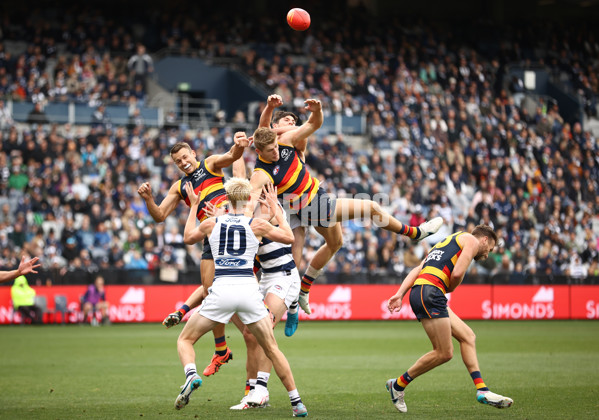 AFL Rd 8 - Geelong v Adelaide - A-1413544