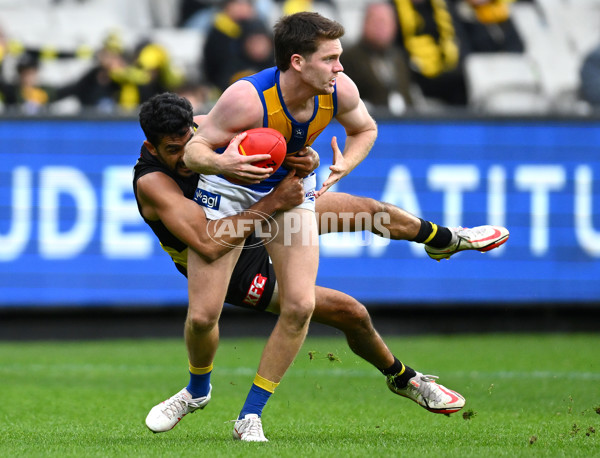 AFL Rd 8 - Richmond v West Coast - A-1414838