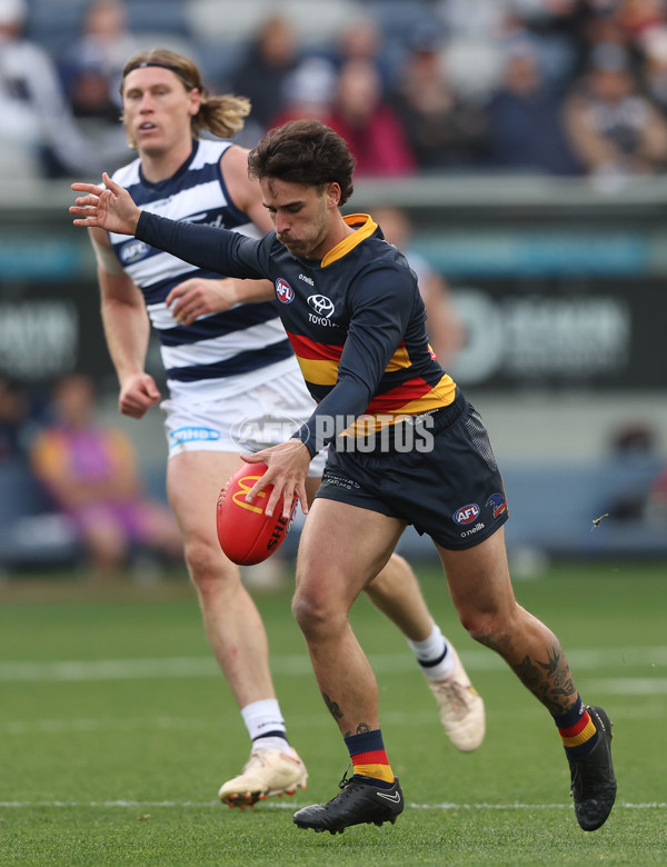 AFL Rd 8 - Geelong v Adelaide - A-1414841