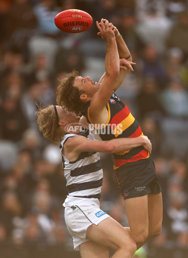 AFL Rd 8 - Geelong v Adelaide - A-1414869