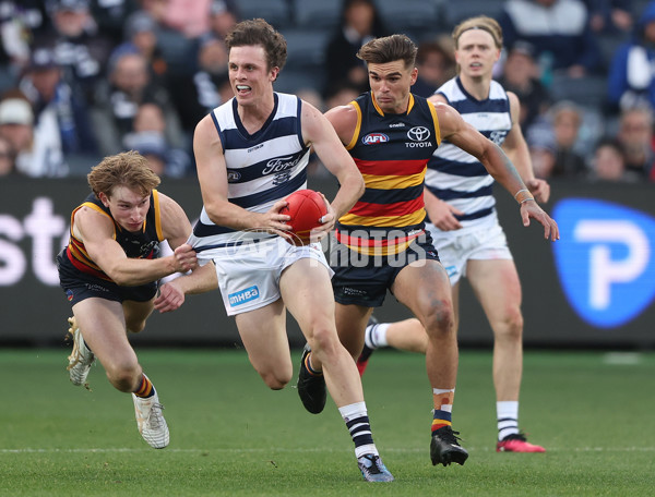 AFL Rd 8 - Geelong v Adelaide - A-1414892