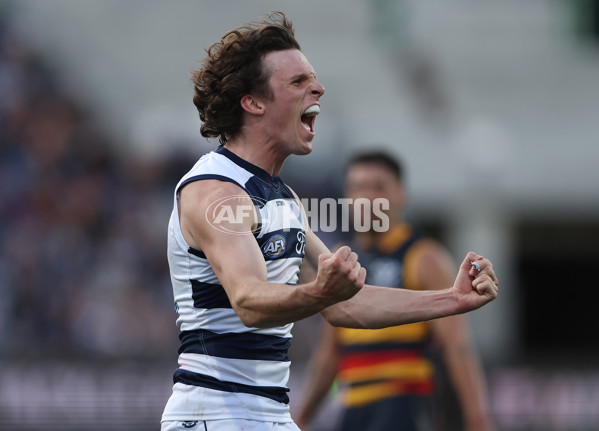 AFL Rd 8 - Geelong v Adelaide - A-1414899