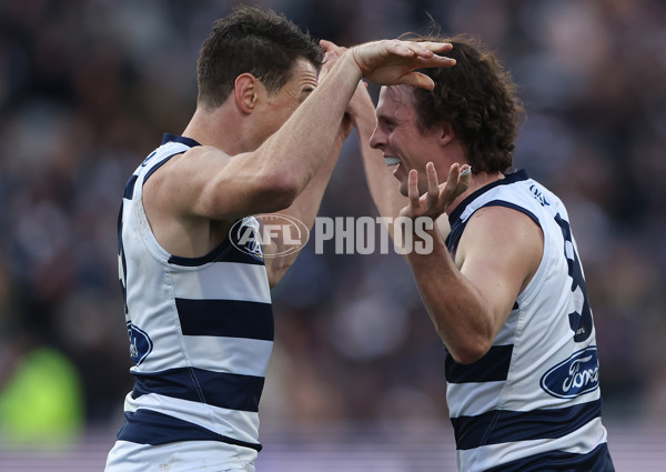 AFL Rd 8 - Geelong v Adelaide - A-1417134