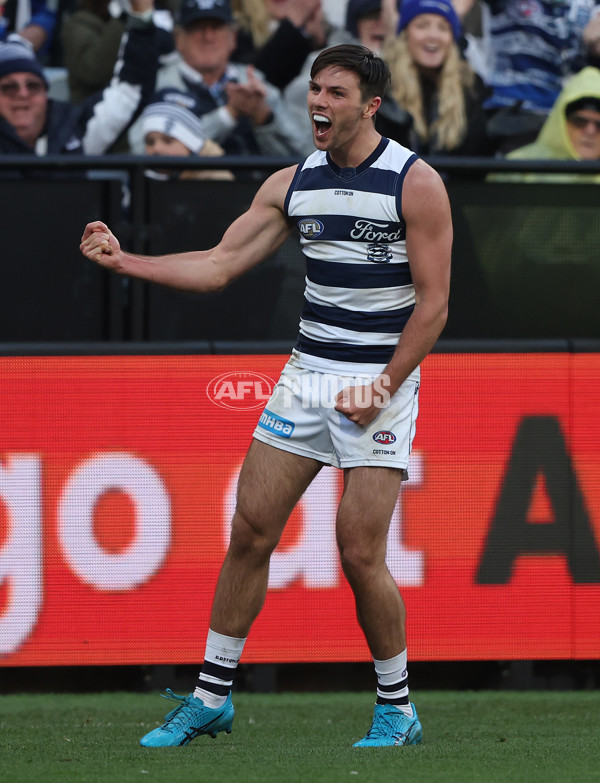 AFL Rd 8 - Geelong v Adelaide - A-1417179