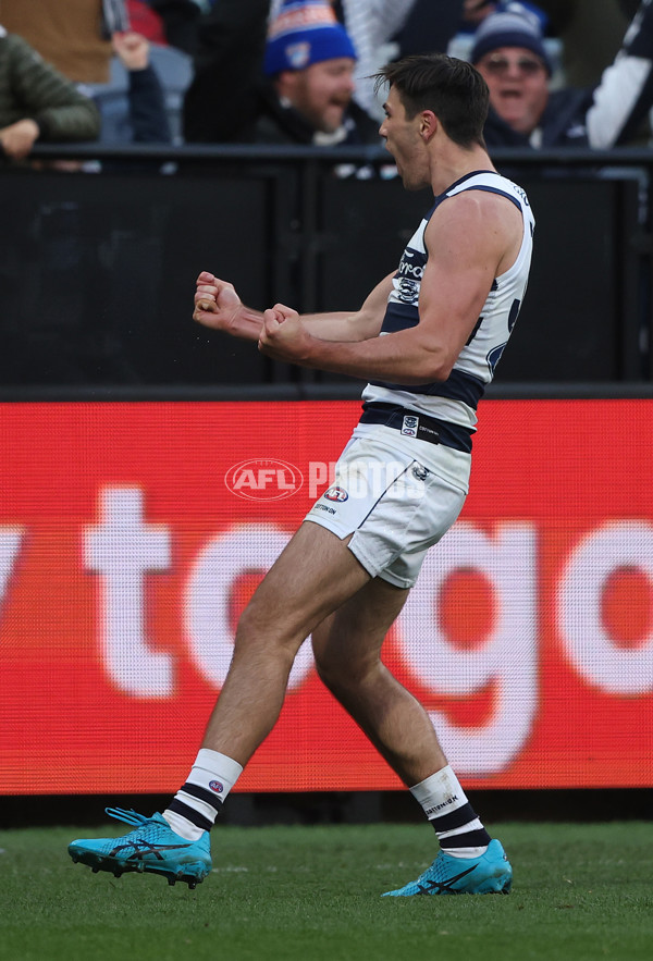 AFL Rd 8 - Geelong v Adelaide - A-1417183