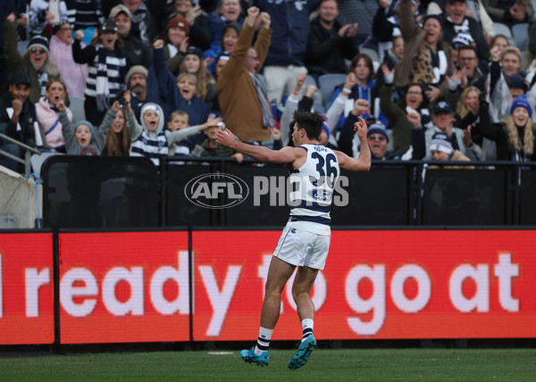 AFL Rd 8 - Geelong v Adelaide - A-1417186