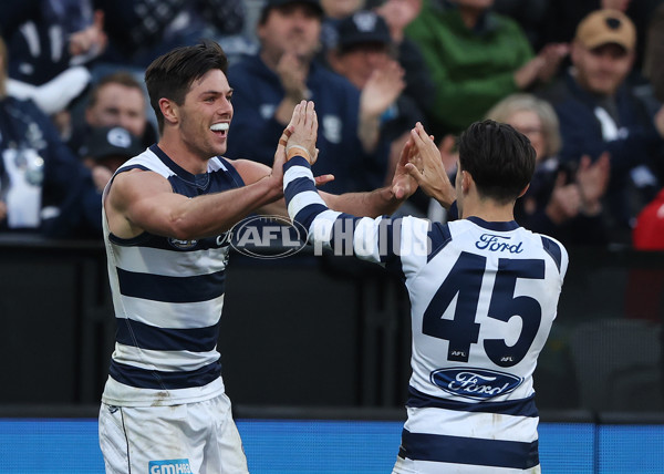 AFL Rd 8 - Geelong v Adelaide - A-1417780