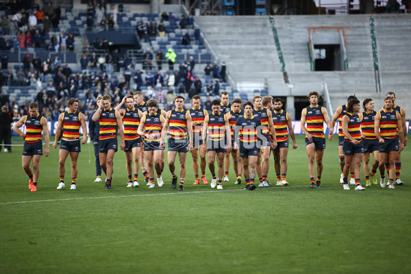 AFL Rd 8 - Geelong v Adelaide - A-1417784